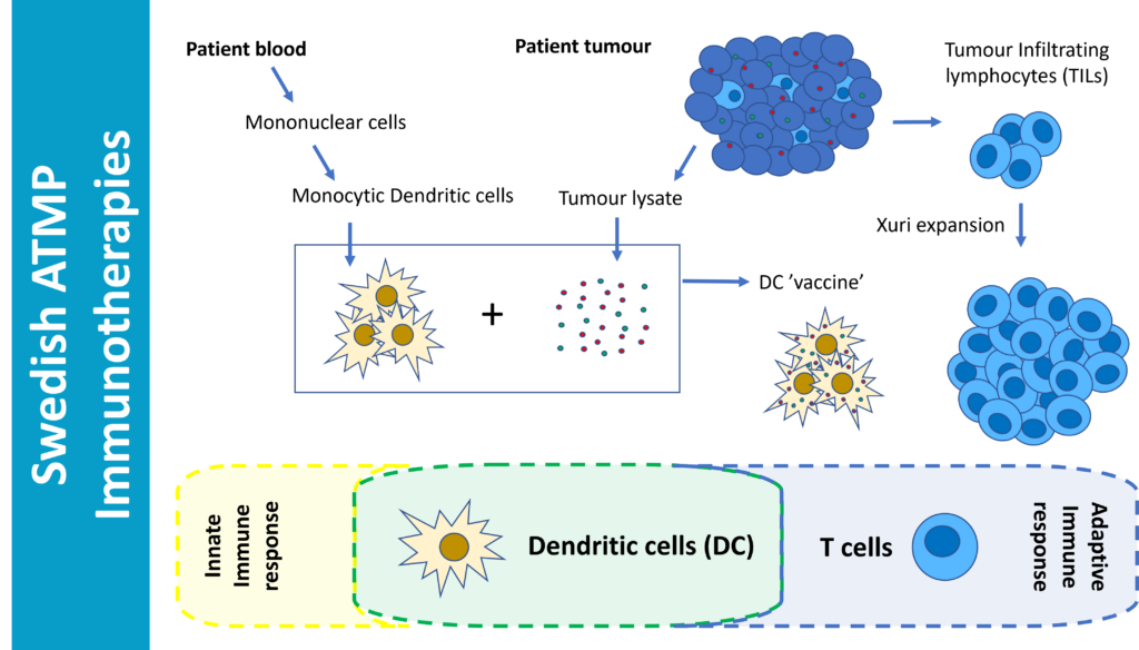 Immunotherapies | ATMP Sweden
