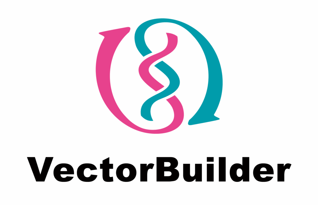 Vector Builder GmbH