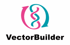 Vector Builder GmbH